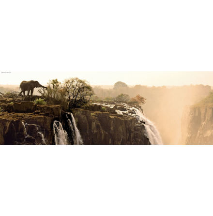AvH: Elephant (1000 pieces panorama)