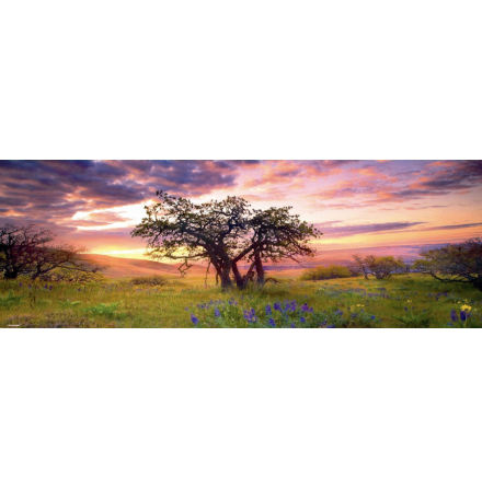 AvH: Oak Tree (2000 pieces panorama)